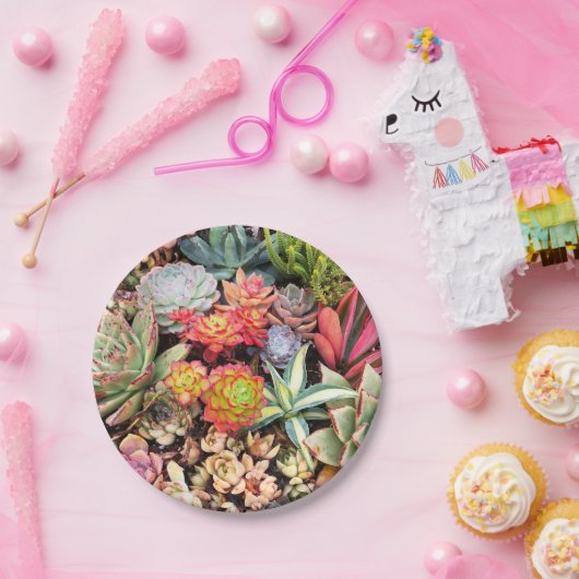 カラフルで水気が多い組合せの紙皿 ペーパープレート (パーティー)