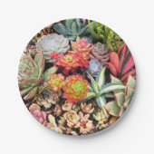 カラフルで水気が多い組合せの紙皿 ペーパープレート (正面)