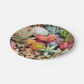 カラフルで水気が多い組合せの紙皿 ペーパープレート (アングル)