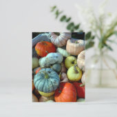 カラフルなかぼちゃのポストカード ポストカード (スタンド正面)