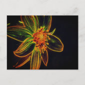 カラフルなひまわりの抽象花アート ポストカード (正面)