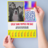 カラフルなぽんぽんはがし子犬販売チラシ チラシ (手)