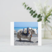 カラフルなアクセサリーをつけた毛むくじゃらのヤク ポストカード (スタンド正面)