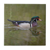 カラフルなアメリカオシ タイル (正面)