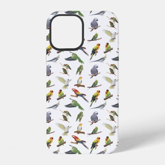 カラフルなインコいろいろ iPhoneケース (裏面)