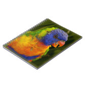 カラフルなインコ ノートブック (左側)