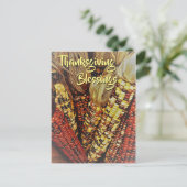 カラフルなインディアン コーンの実 写真2 感謝祭 ポストカード (スタンド正面)