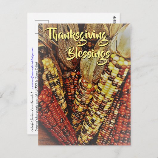 カラフルなインディアン コーンの実 写真2 感謝祭 ポストカード (正面/裏面)