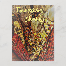 カラフルなインディアン コーンの実　写真2 感謝祭 ポストカード