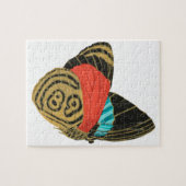 カラフルなエキゾチックバタフライ 蝶 ジグソーパズル (横)