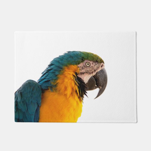 カラフルなオウム ドアマット (正面)