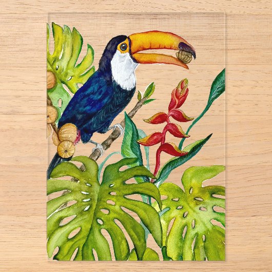 カラフルなオオハシの水彩画 熱帯の鳥 アクリル招待状 (正面)