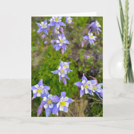 カラフルなオダマキの花(すみれ色・青・黄色) サンキューカード