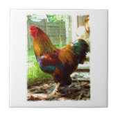 カラフルなオンドリ タイル (正面)