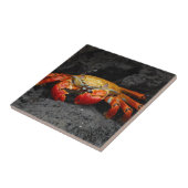 カラフルなカニ タイル (側面)