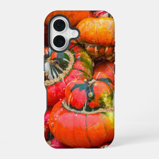 カラフルなカボチャ iPhone 16ケース (裏面)