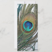 カラフルなクジャクの誕生日招待状 招待状 (裏面)