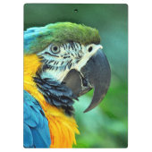 カラフルなコンゴウインコのオウム クリップボード (裏面)