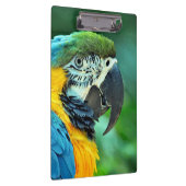 カラフルなコンゴウインコのオウム クリップボード (右)