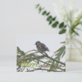 カラフルなゴシキヒワのハッピーバースデーポストカード ポストカード (スタンド正面)