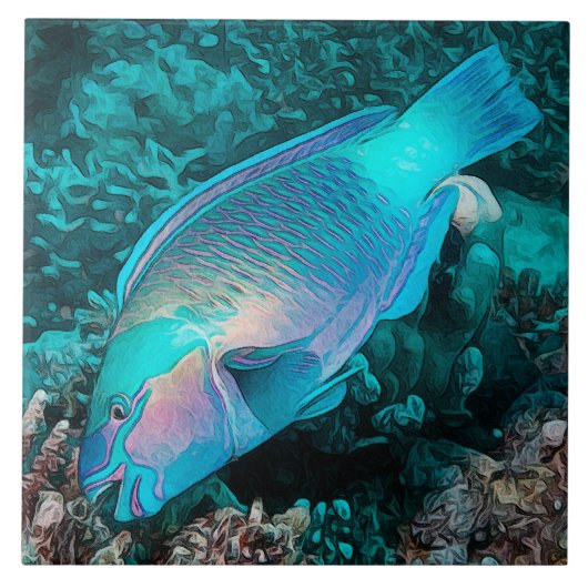 カラフルなサンゴ礁の熱帯魚、ブダイ タイル (正面)