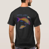 カラフルなサンゴ礁の魚 Tシャツ (裏面)