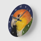 カラフルなシロハラインコのオウム ラウンド壁時計 (傾斜)