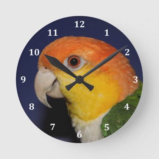 カラフルなシロハラインコのオウム ラウンド壁時計 (正面)