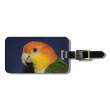 カラフルなシロハラインコのオウム