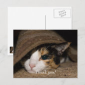 カラフルなタコ 感謝のポストカード ポストカード (正面/裏面)