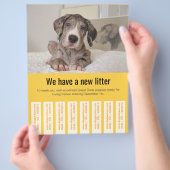 カラフルなダネ子犬販売チラシ チラシ (手)