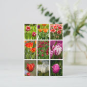 カラフルなチューリップ ポストカード (スタンド正面)