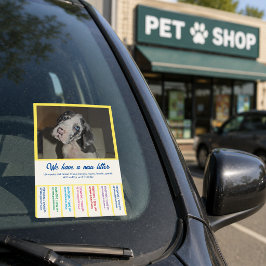 カラフルなデンマーク犬の仔犬を販売中 ポストイット