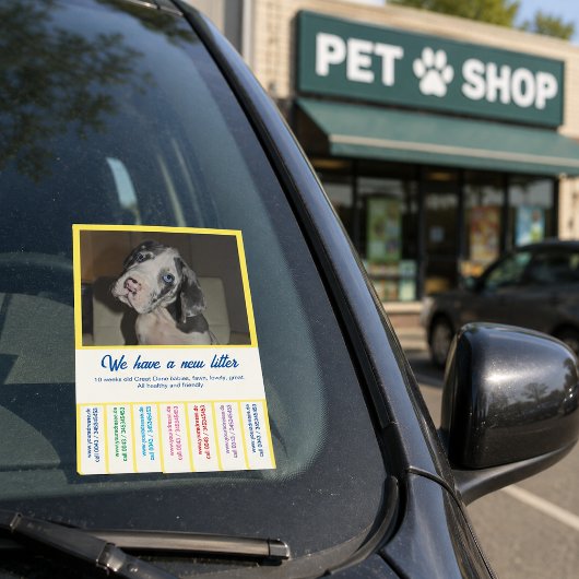 カラフルなデンマーク犬の仔犬を販売中 ポストイット
