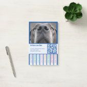 カラフルなデンマーク犬の子犬を販売中 ポストイット (オフィス)