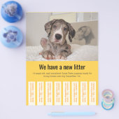 カラフルなデーン・ドッグの子犬販売チラシ チラシ (シングル)