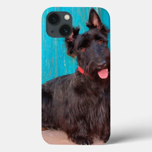 カラフルなドアのそばに座るスコティッシュ・テリア Case-Mate iPhoneケース (裏面)