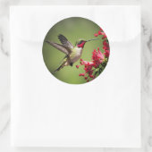 カラフルなハチドリ ラウンドシール (バッグ)
