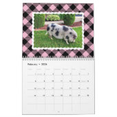 カラフルなバッファローの格子縞の写真 カレンダー (2月 2026)