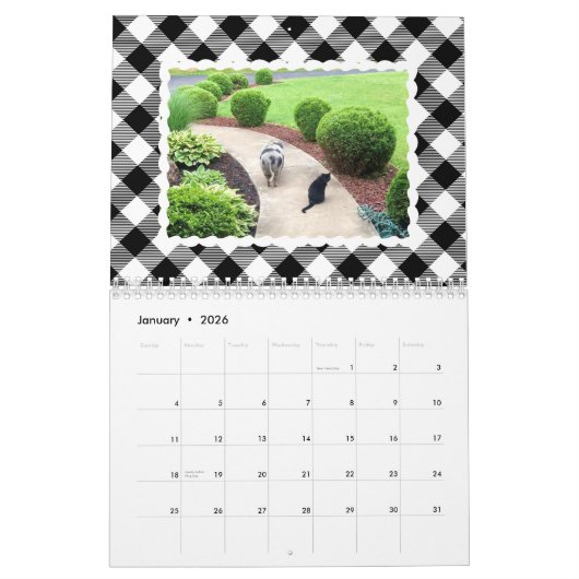 カラフルなバッファローの格子縞の写真 カレンダー (1月 2026)