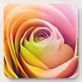 カラフルなバラの花びらの閉めて下さい コースター (正面)