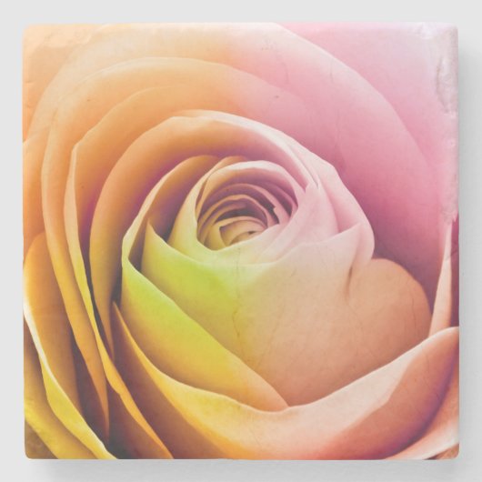 カラフルなバラの花びらの閉めて下さい ストーンコースター (正面)