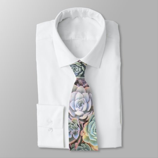 カラフルなパステル調のSucculent ネクタイ (タイ)