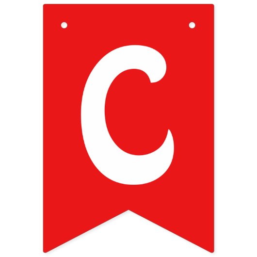 カラフルなパーティーの旗布のカスタムの旗 バンティングフラッグ (第1の旗)