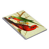 カラフルなビンテージの赤と緑のインコのイラスト ノートブック (右側)