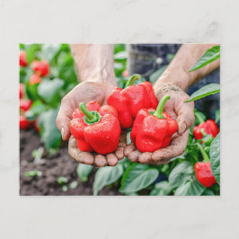カラフルなベルペッパーとチリのミックス シーズンポストカード