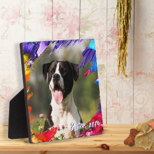 カラフルなペイント ブラシ ストローク フォト フレーム プラーク