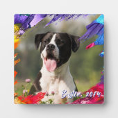 カラフルなペイント ブラシ ストローク フォト フレーム プラーク (正面)