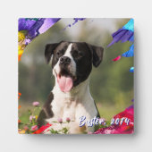 カラフルなペイント ブラシ ストローク フォト フレーム プレート (正面)