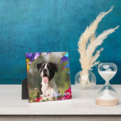 カラフルなペイント ブラシ ストローク フォト フレーム プレート (インサイチュ)